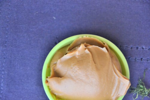 Overhead shot of a bowl filled with a scoop of nut butter